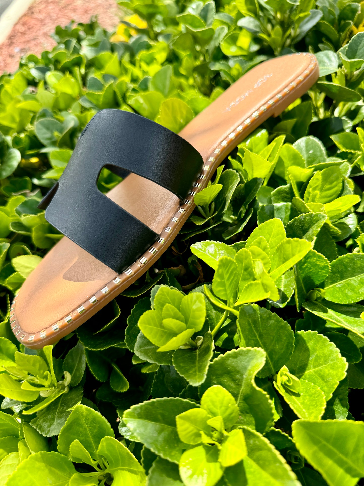 Cleo Cutout Flat Sandals